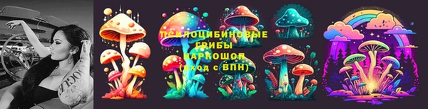 гидропоника Абдулино