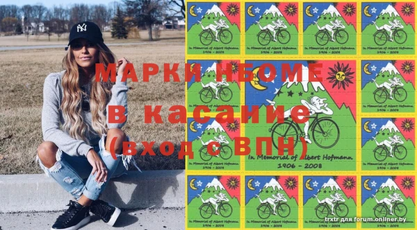 индика Алексин
