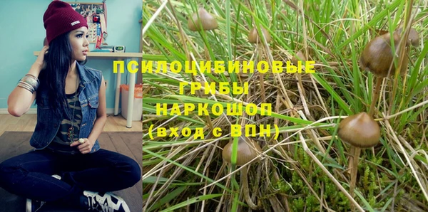 гидропоника Абдулино