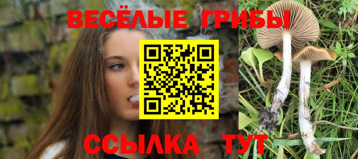 Псилоцибиновые грибы Cubensis Троицк
