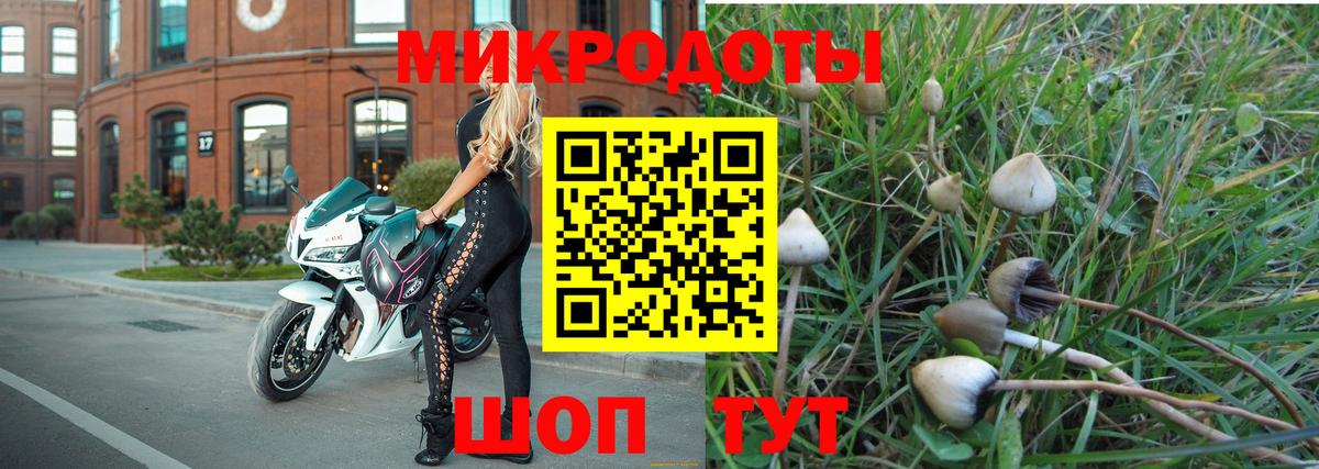 Троицк  Галлюциногенные грибы мицелий  Вход с VPN  Псилоцибиновые грибы прущие грибы 